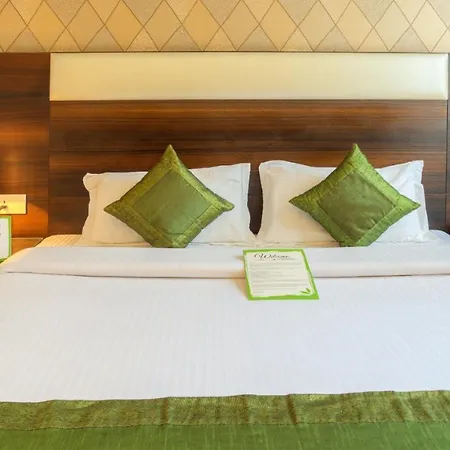 Hotel Dreamland Chandigarh-2